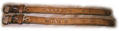 Leather collars with dogs name