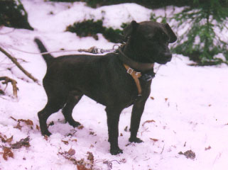 Jill waiting at a dog early 2000