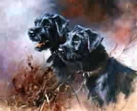 A fine art of patterdale